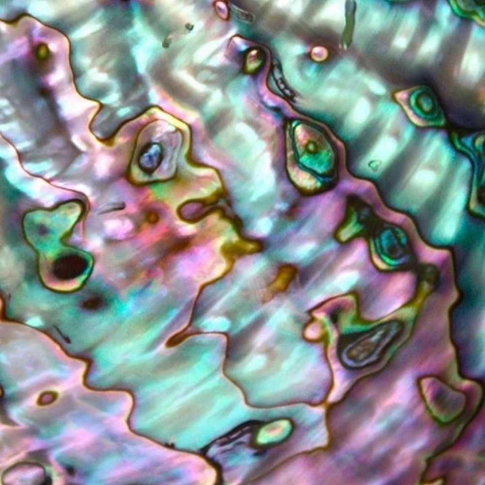 Meet your Posher, Suzanne